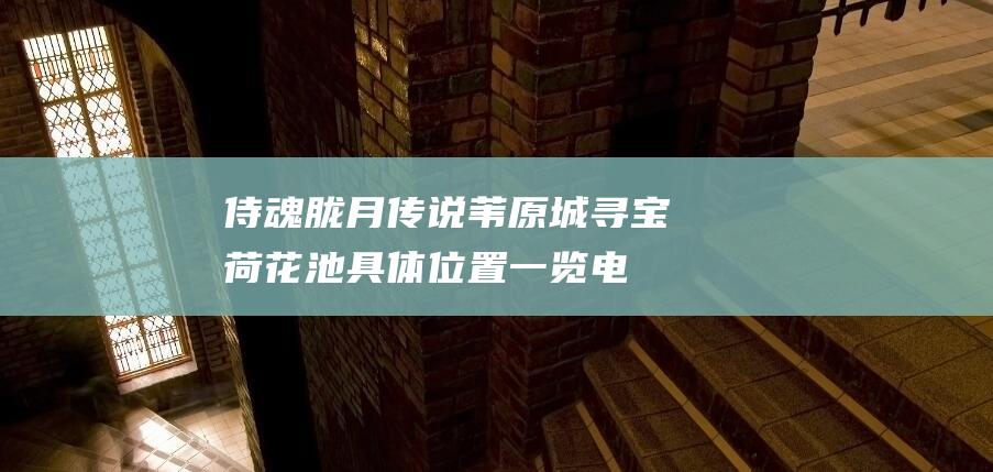 侍魂胧月传说苇原城寻宝荷花池具体位置一览_电子商务